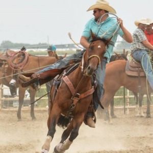 Meet your Posher, Hank